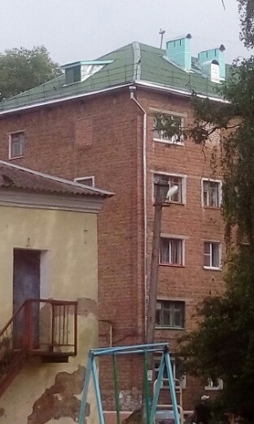 кровля
