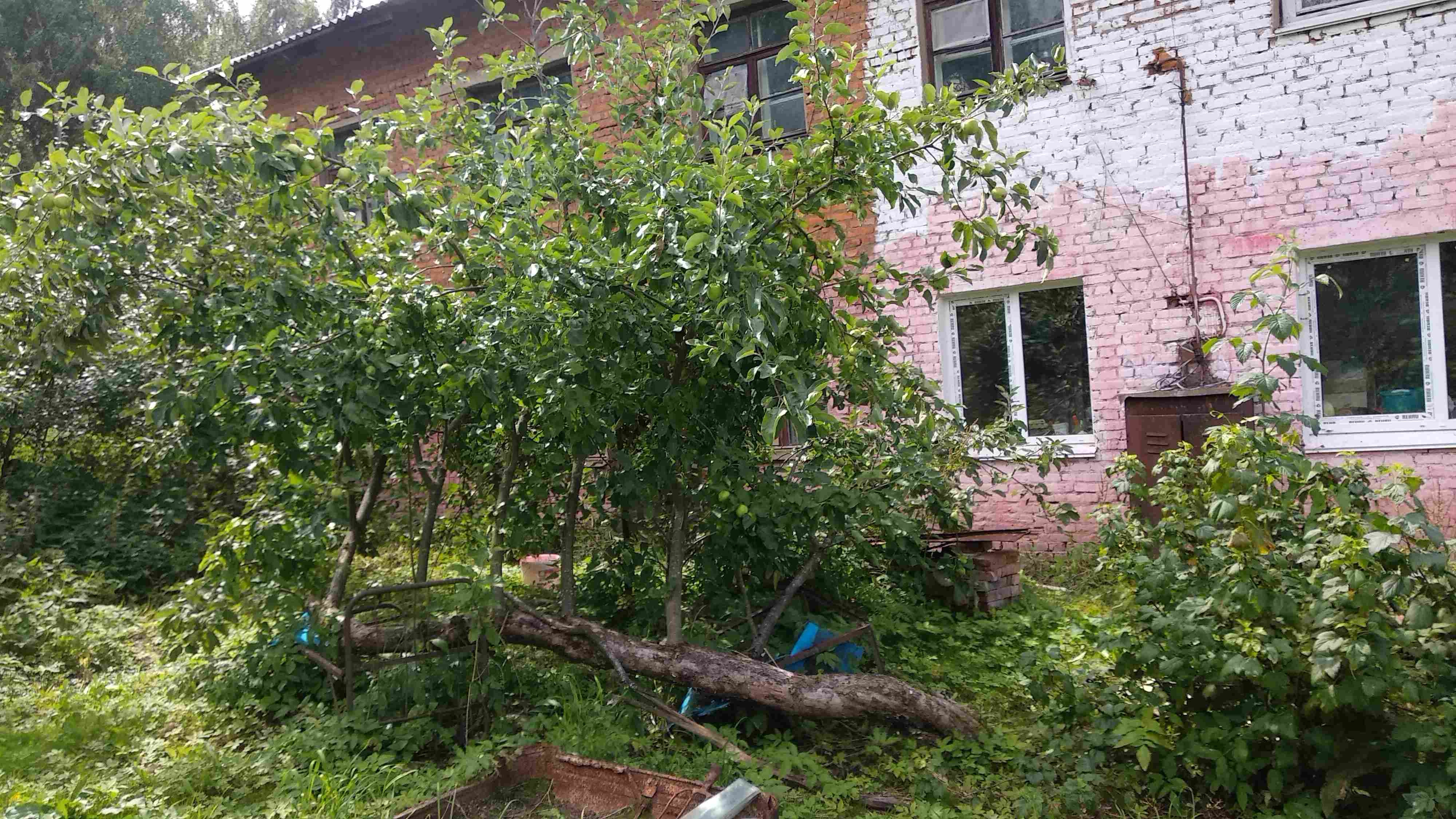 фасад