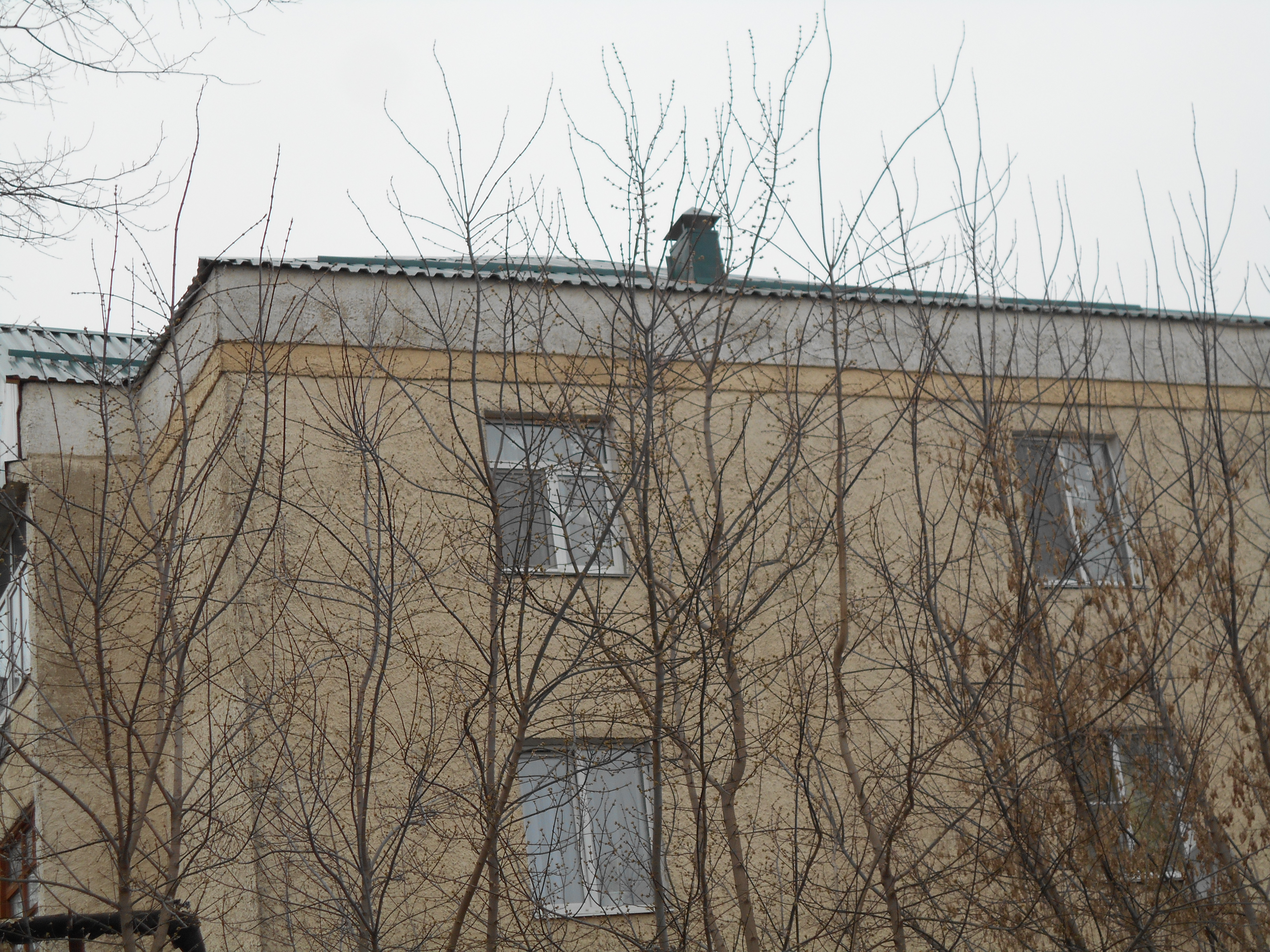 кровля
